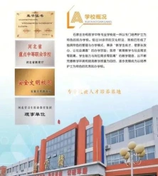 专业