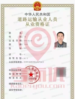 职业