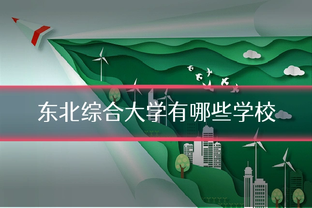 东北综合大学有哪些学校