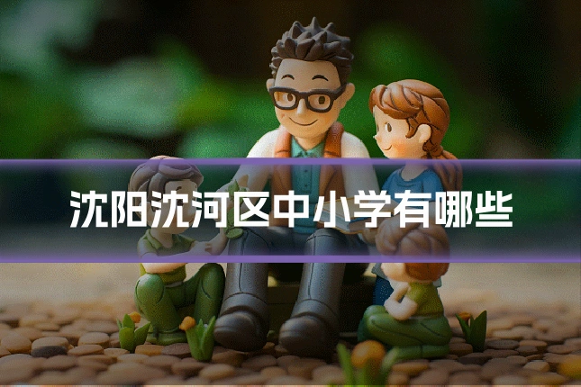 沈阳沈河区中小学有哪些