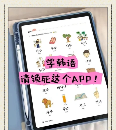 提供