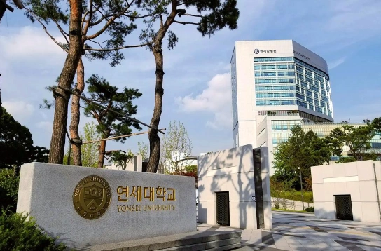 高丽大学