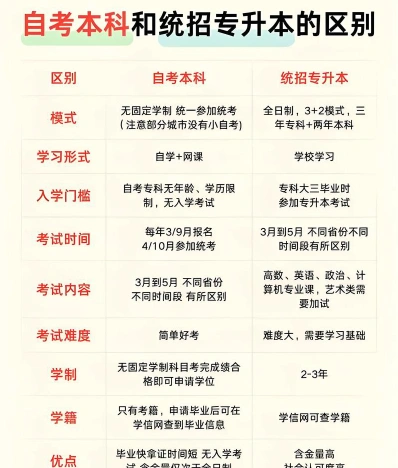 网上报名