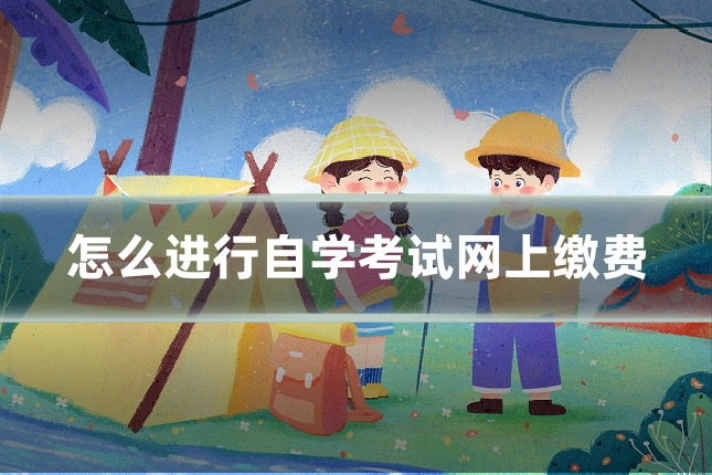 怎么进行自学考试网上缴费