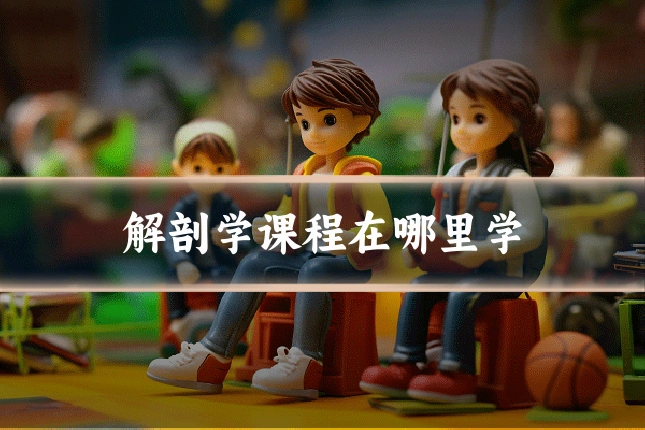 解剖学课程在哪里学