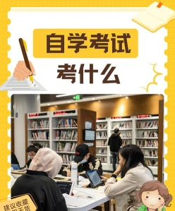专业