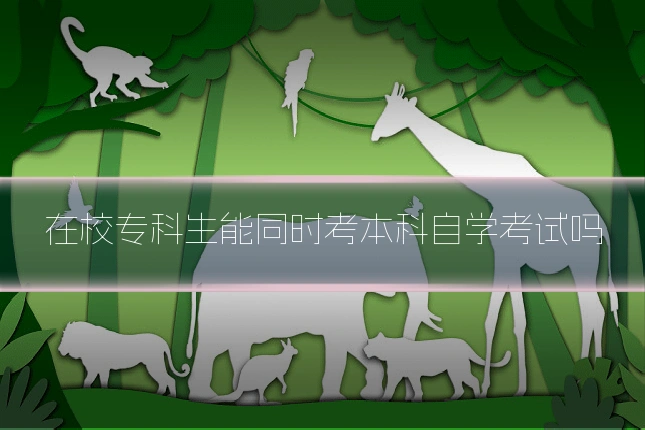 在校专科生能同时考本科自学考试吗