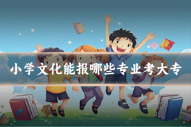 小学文化能报哪些专业考大专