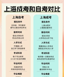 报考