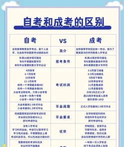 论述题