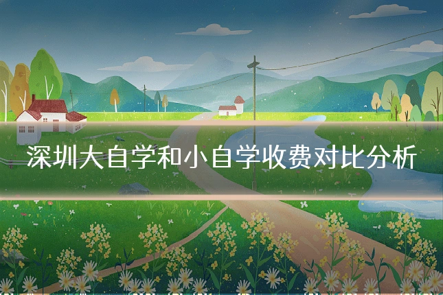 深圳大自学和小自学收费对比分析