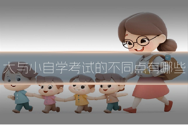 大与小自学考试的不同点有哪些
