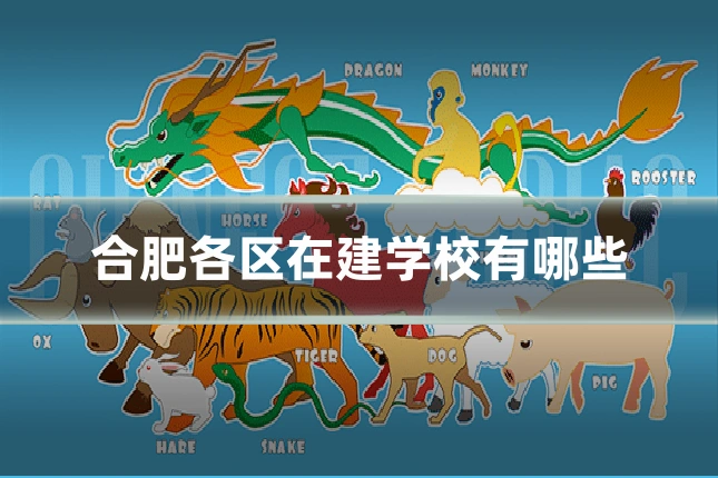 合肥各区在建学校有哪些