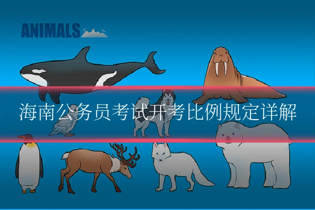 海南公务员考试开考比例规定详解
