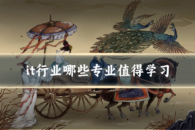 it行业哪些专业值得学习