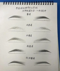 纹眉学校