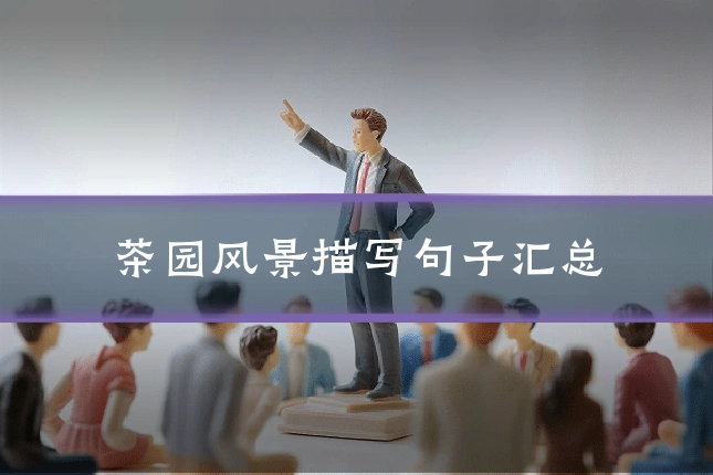 茶园风景描写句子汇总