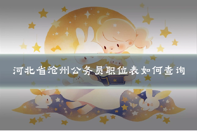 河北省沧州公务员职位表如何查询