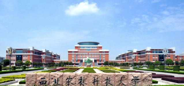 北校区