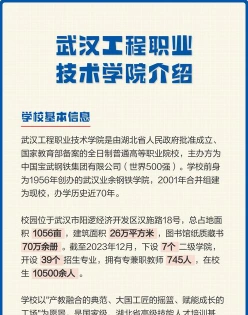 武汉工程职业技术学院
