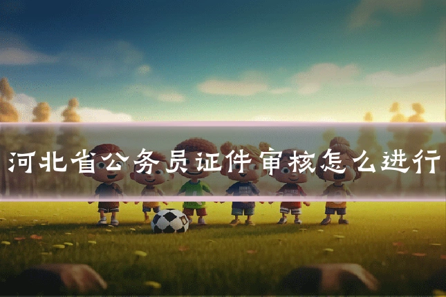 河北省公务员证件审核怎么进行