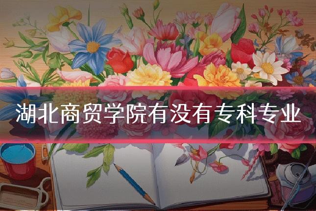 湖北商贸学院有没有专科专业
