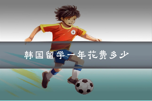 韩国留学一年花费多少