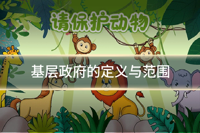 基层政府的定义与范围