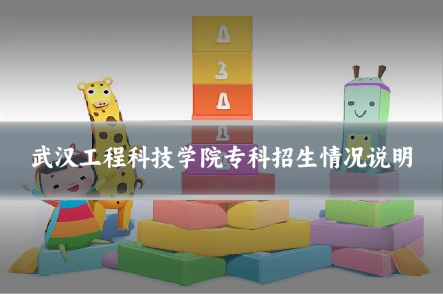 武汉工程科技学院专科招生情况说明
