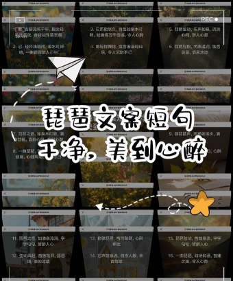 大珠小珠
