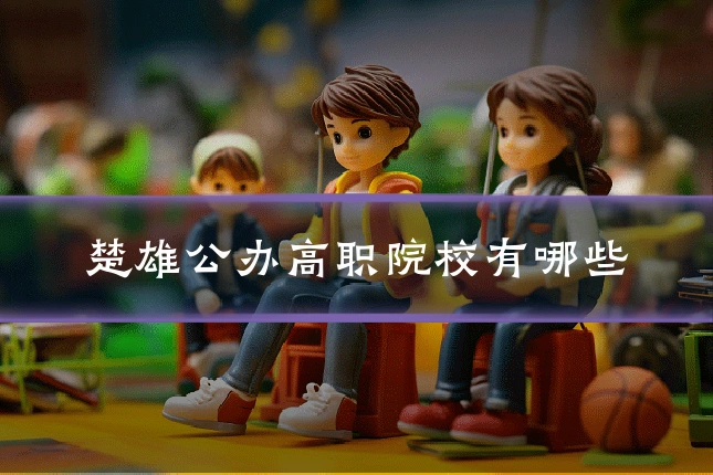 楚雄公办高职院校有哪些