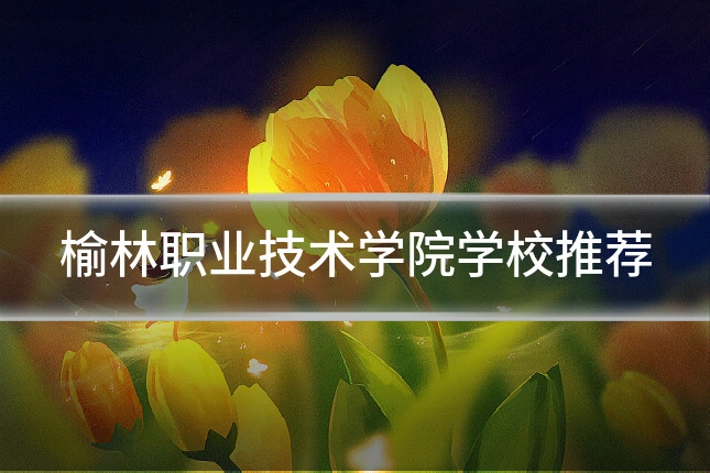 榆林职业技术学院学校推荐