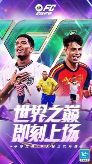 FC足球世界真实赛场体验截图