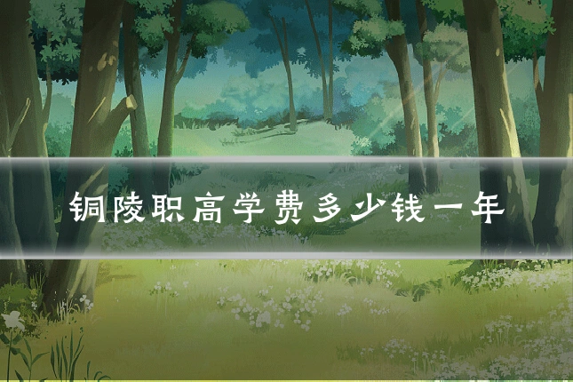 铜陵职高学费多少钱一年
