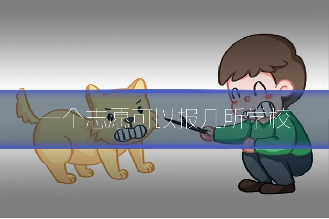 一个志愿可以报几所学校