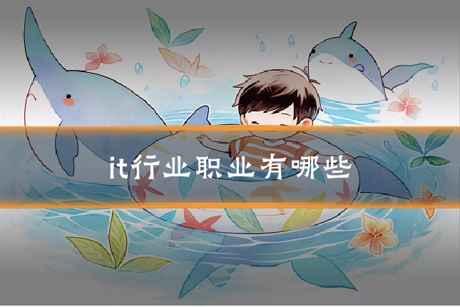 it行业职业有哪些