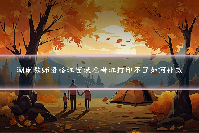 湖南教师资格证面试准考证打印不了如何补救