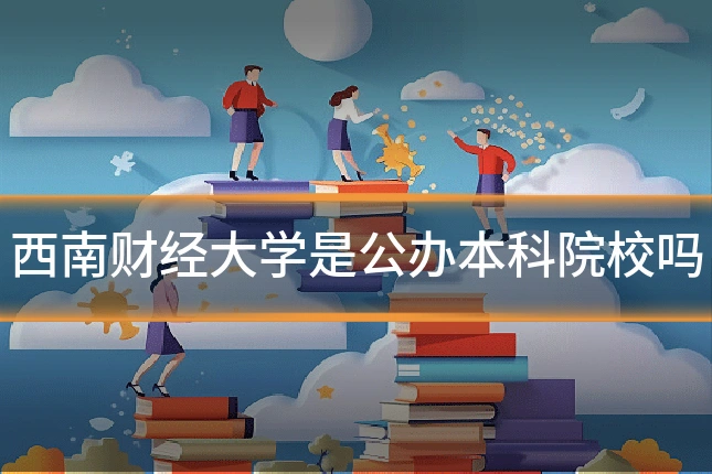 西南财经大学是公办本科院校吗