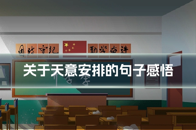关于天意安排的句子感悟