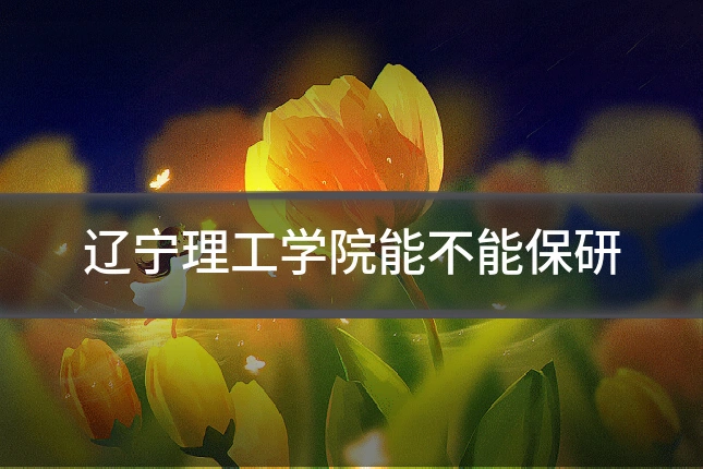辽宁理工学院能不能保研