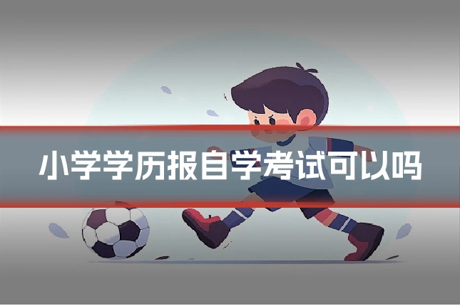 小学学历报自学考试可以吗