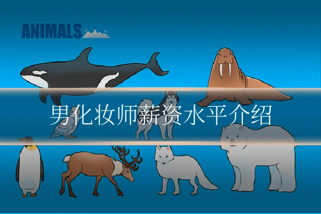 男化妆师薪资水平介绍