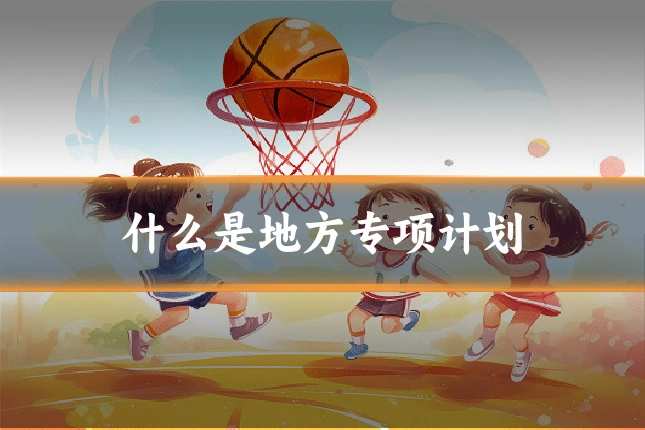 什么是地方专项计划