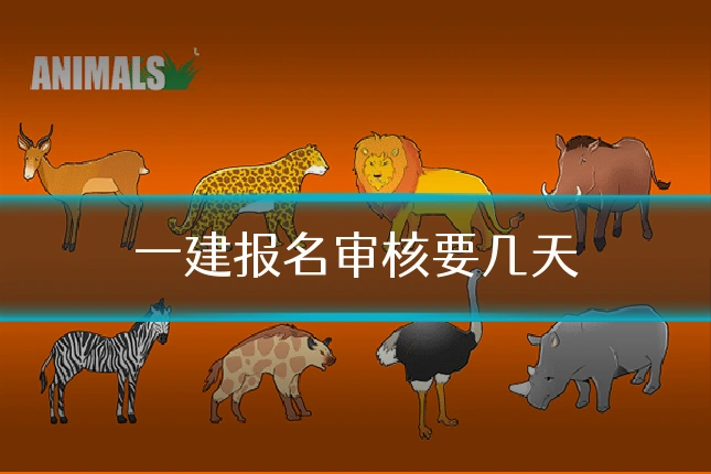 一建报名审核要几天