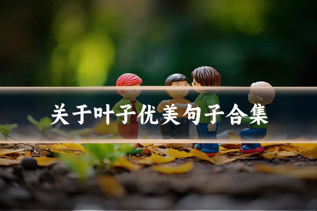 关于叶子优美句子合集