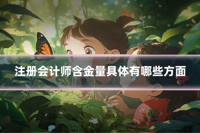注册会计师含金量具体有哪些方面