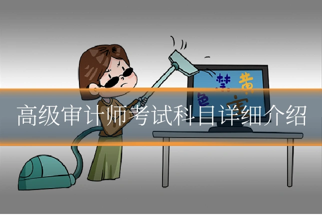 高级审计师考试科目详细介绍