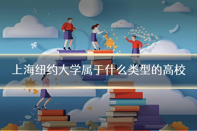 上海纽约大学属于什么类型的高校
