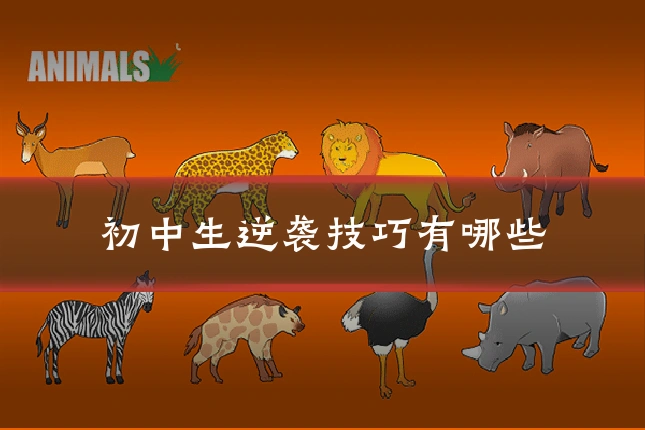 初中生逆袭技巧有哪些