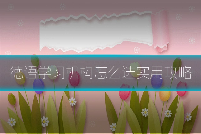 德语学习机构怎么选实用攻略